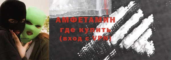 крисы Горняк