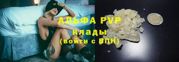 крисы Горняк