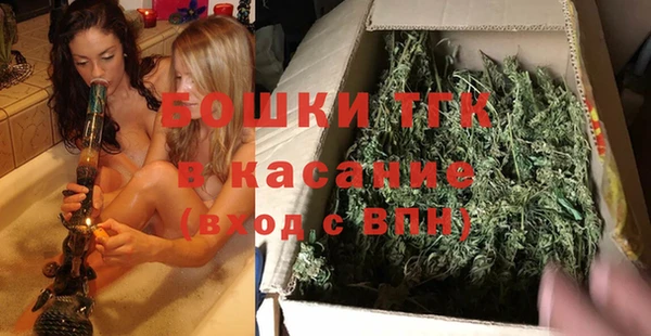 крисы Горняк