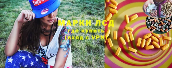 крисы Горняк