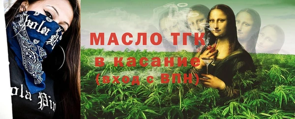 крисы Горняк