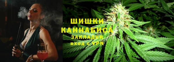 2c-b Горнозаводск