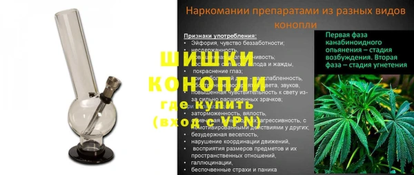 2c-b Горнозаводск