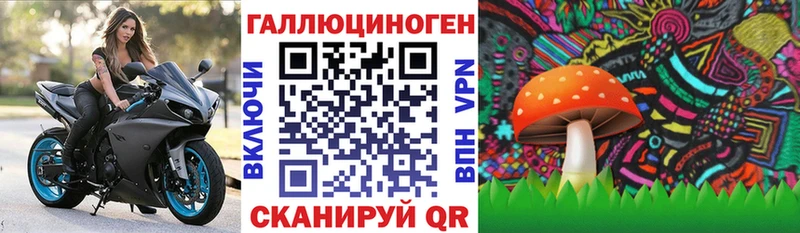 Псилоцибиновые грибы Magic Shrooms  Купить где  Сковородино 